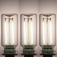 ChubbyGlow Variants - Transparent RGB LED Light，USB Powered Mood Lighting for Car/Bedroom/Parties