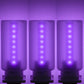 ChubbyGlow Variants - Transparent RGB LED Light，USB Powered Mood Lighting for Car/Bedroom/Parties