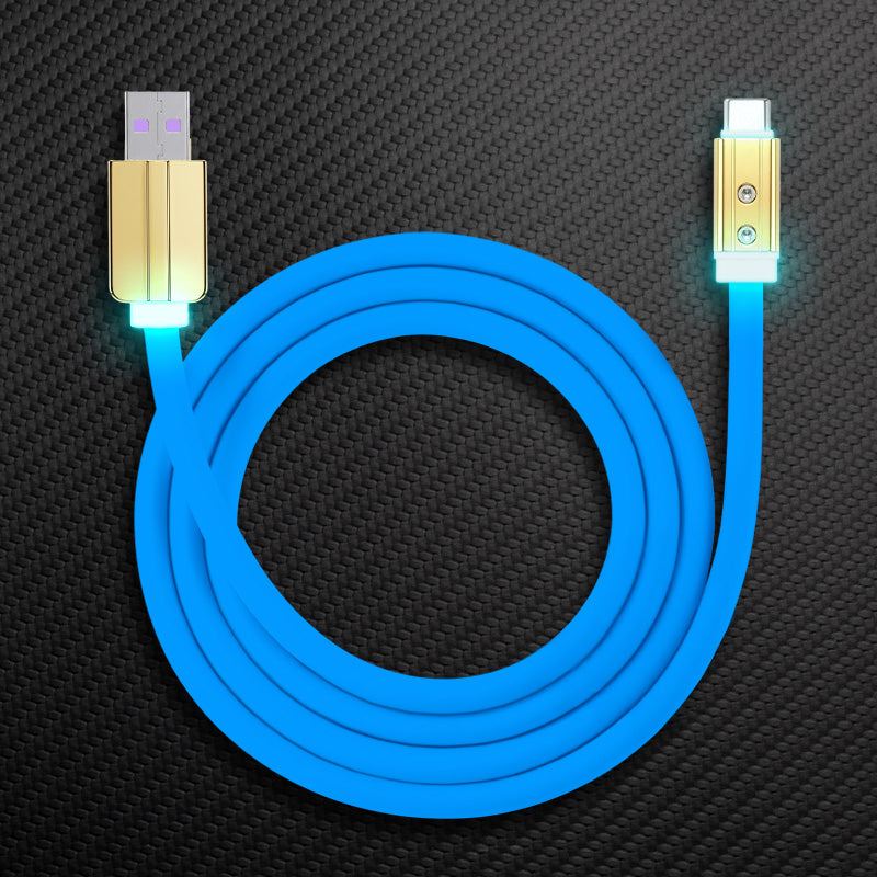 Blue thick silicone USB to USB-C charging cord with glowing LED ends.