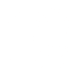Watch Bands